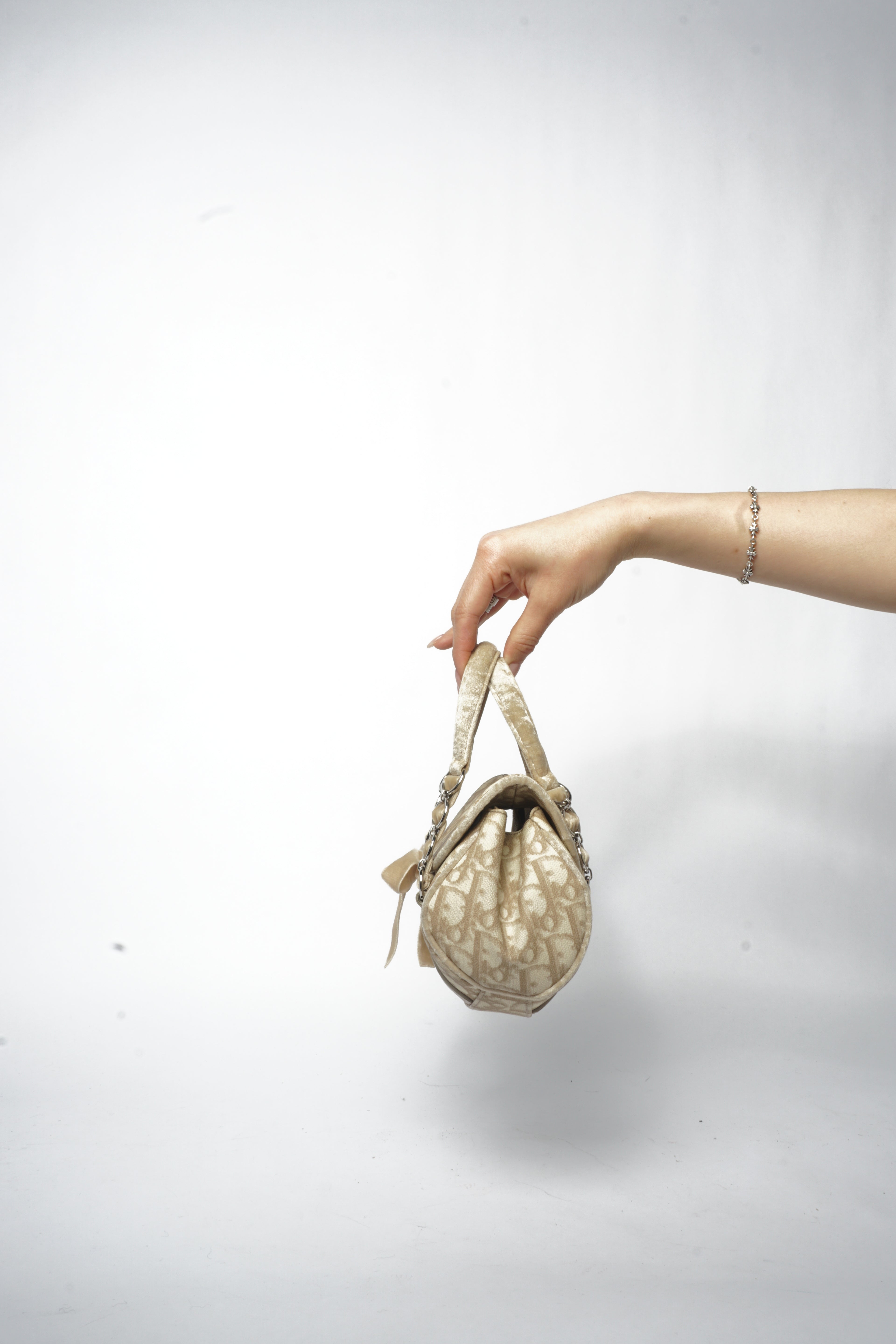 Christian Dior Beige Trotter Romantic Hand Bag