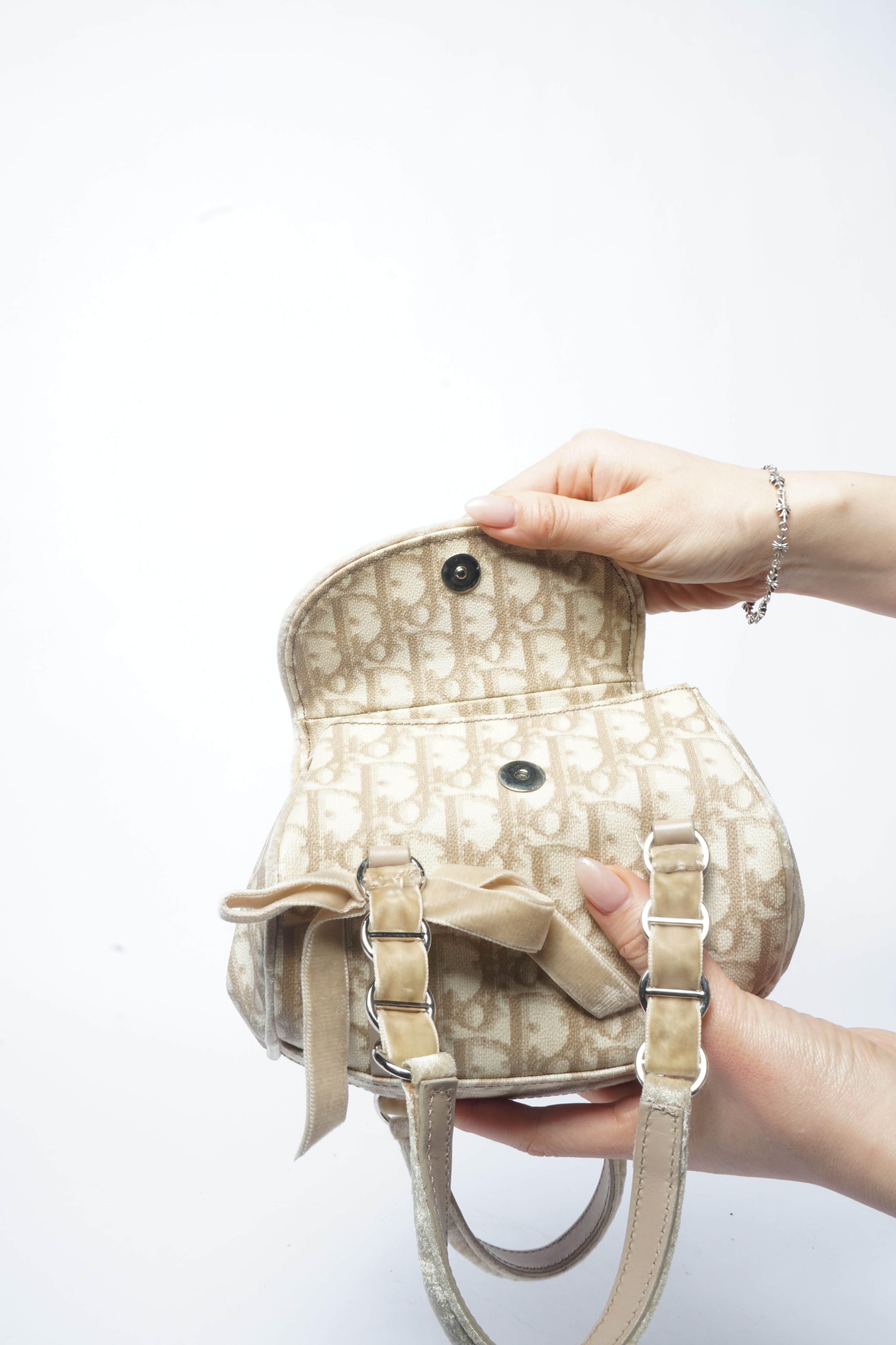 Christian Dior Beige Trotter Romantic Hand Bag
