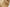 Chanel Tan Lambskin Double Flap Bag with 24K Gold Plated Hardware