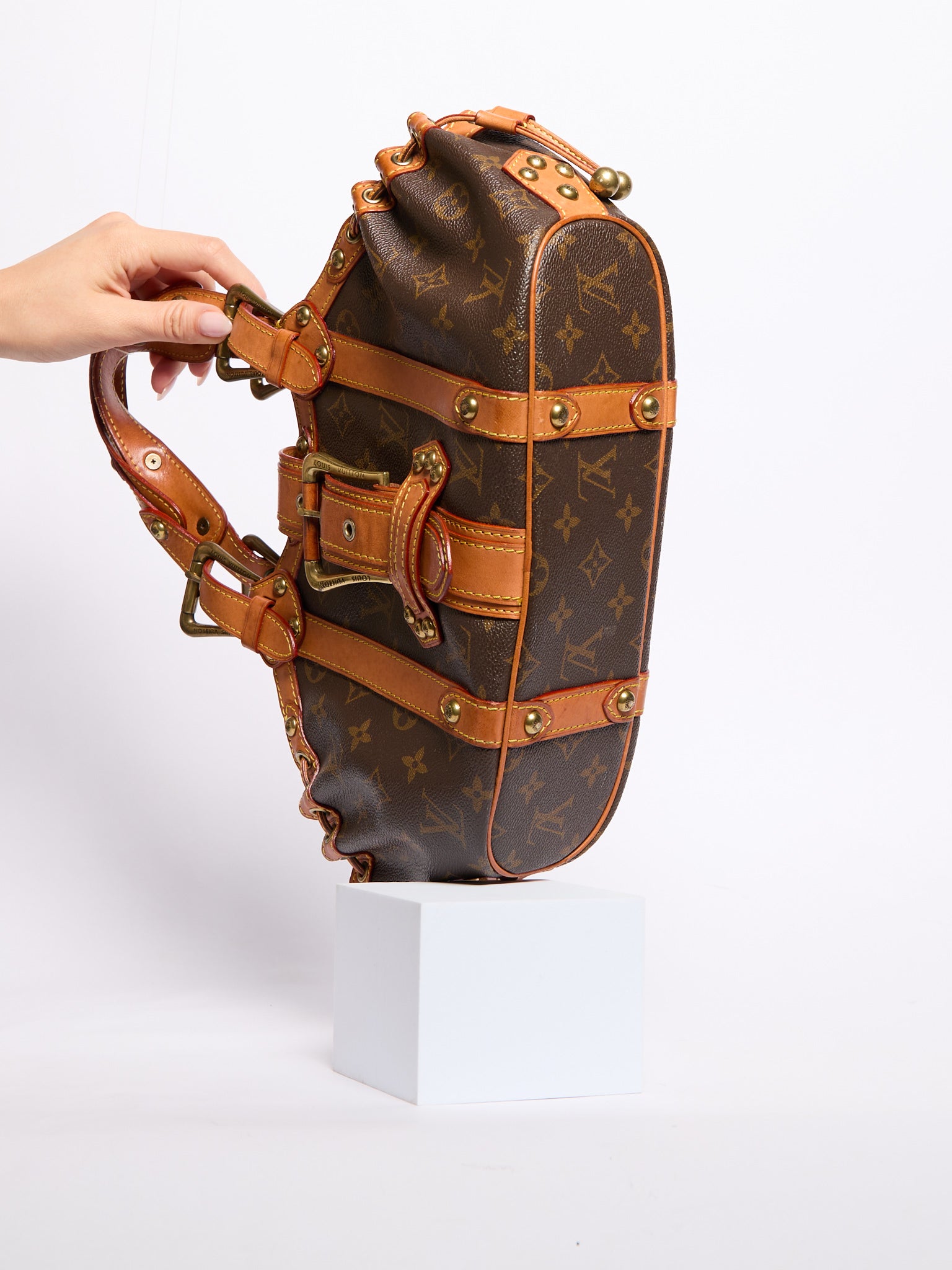 Louis Vuitton Theda GM Bag