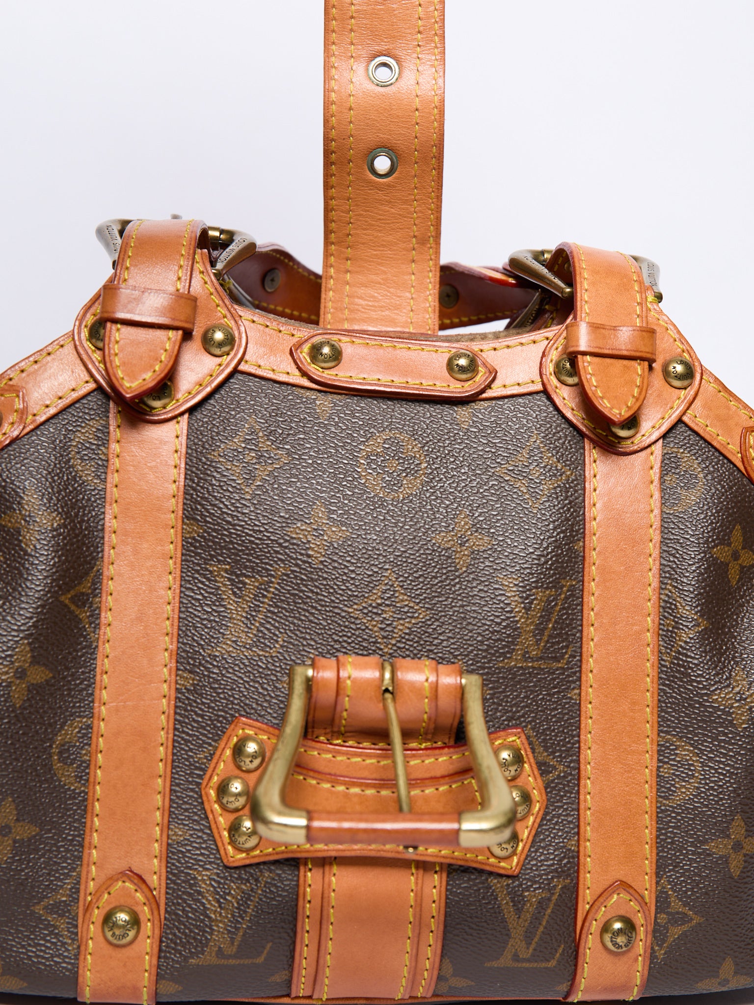 Louis Vuitton Theda GM Bag