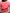 Vivienne Westwood Pink Short Sleeve Cardigan
