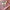 Dior Galliano Era 200's J'adore Dior World Champion Pink Top