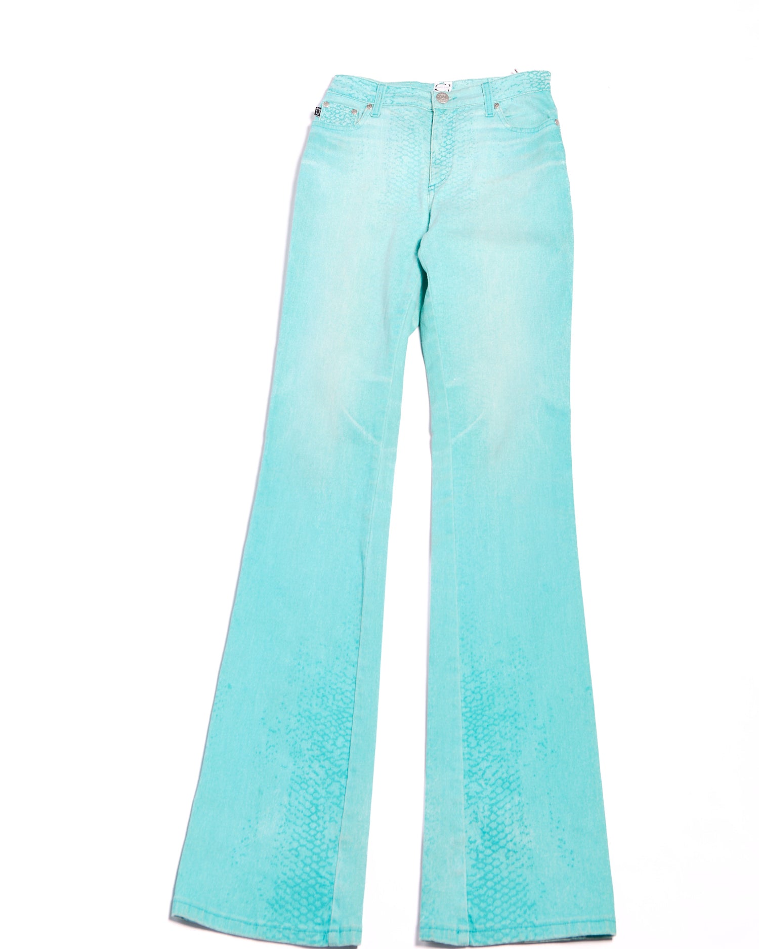 2000's Cavalli Jeans Blue Snake Gradient Jeans S W28