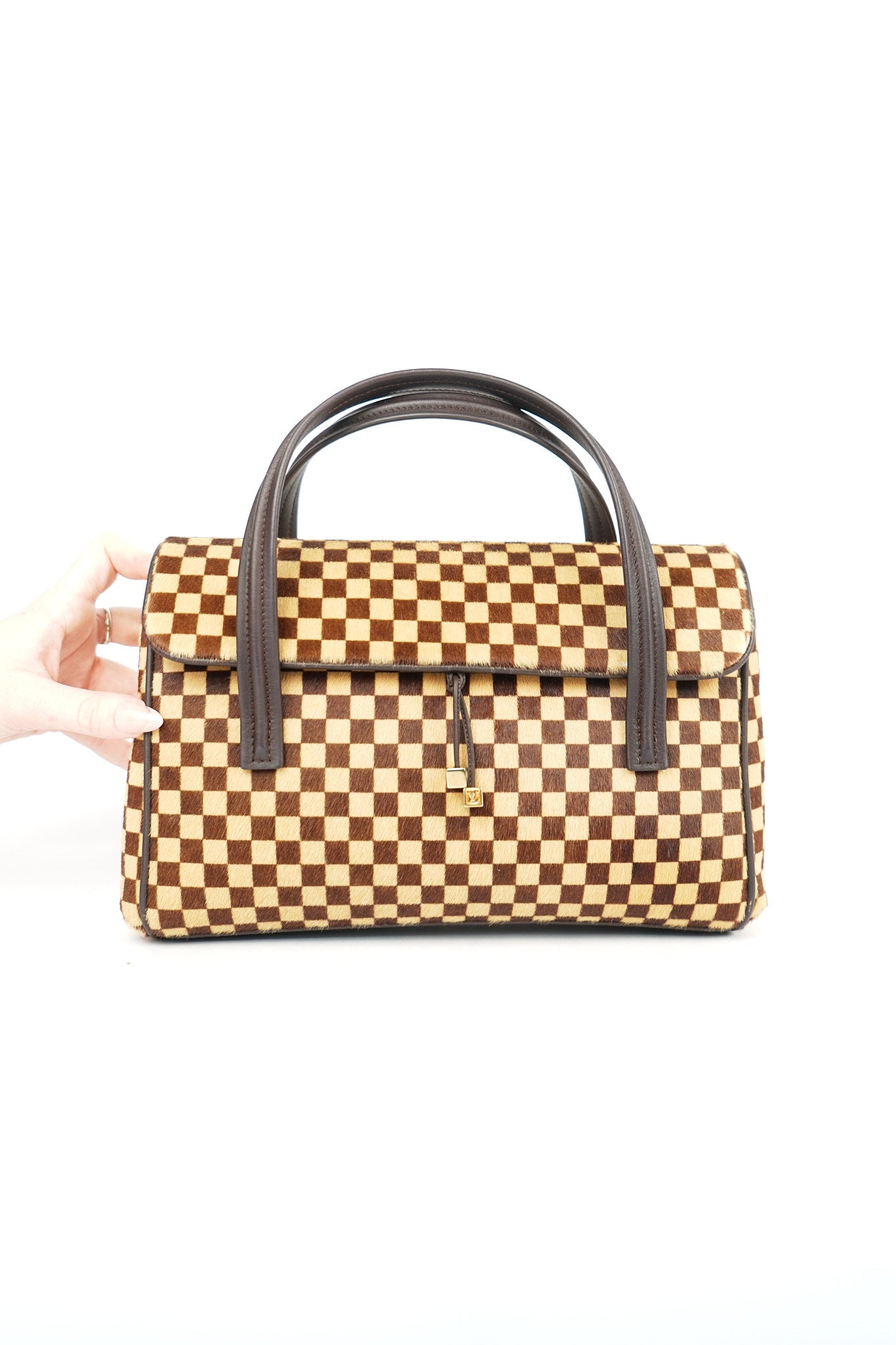 Louis Vuitton Ponyhair Lionne Sauvage Damier Bag