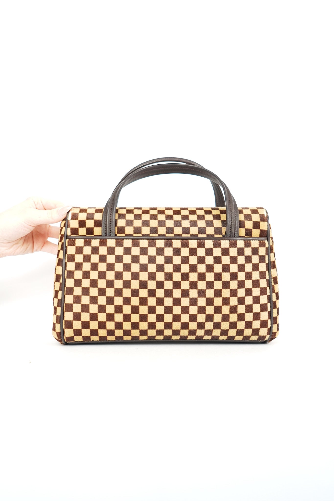 Louis Vuitton Ponyhair Lionne Sauvage Damier Bag