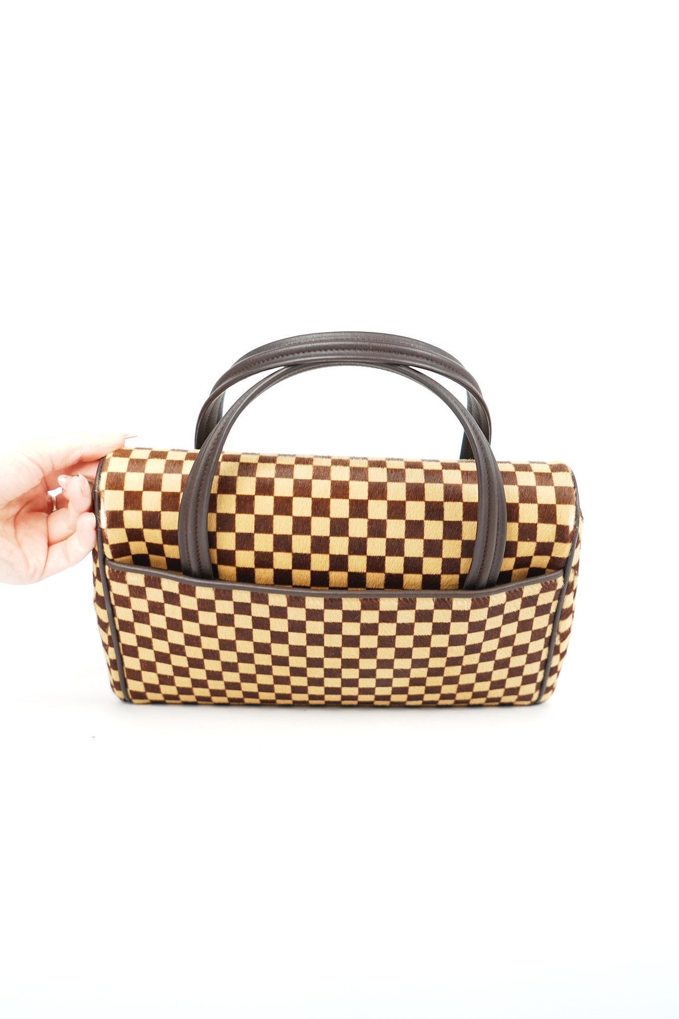 Louis Vuitton Ponyhair Lionne Sauvage Damier Bag