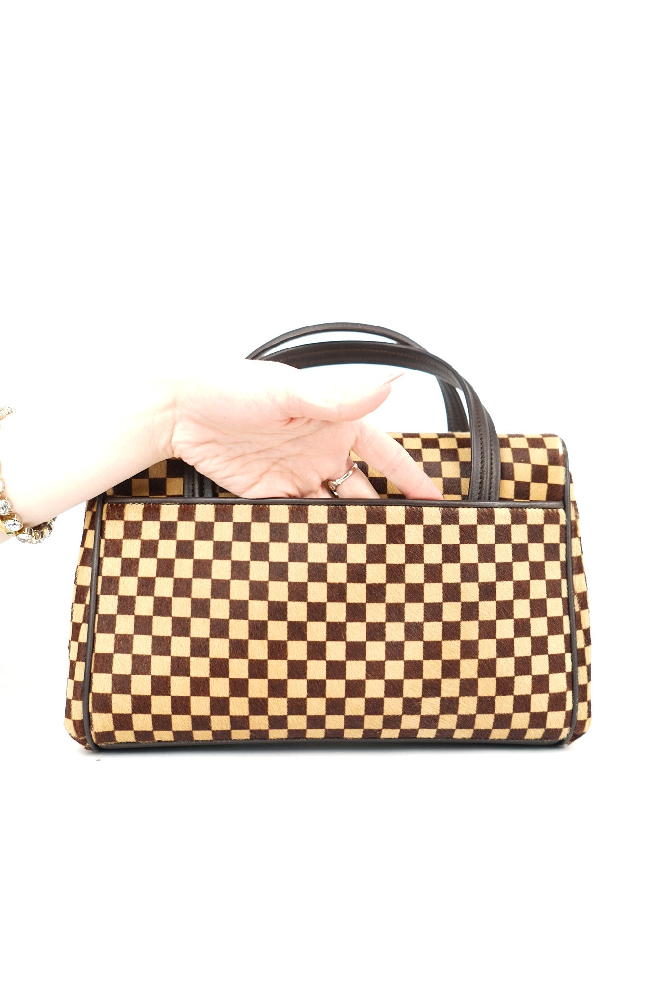 Louis Vuitton Ponyhair Lionne Sauvage Damier Bag